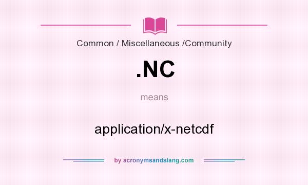 What does .NC mean? It stands for application/x-netcdf