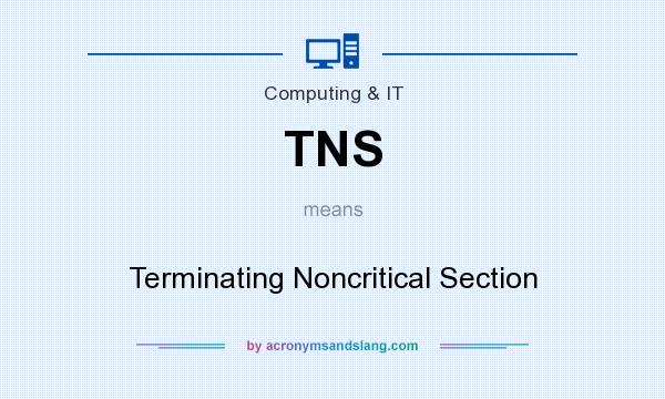 What does TNS mean? It stands for Terminating Noncritical Section