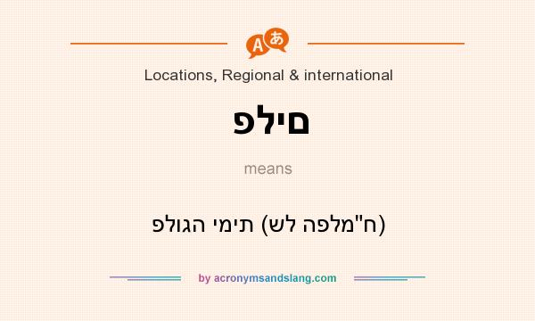 What does פלים mean? It stands for פלוגה ימית (של הפלמ
