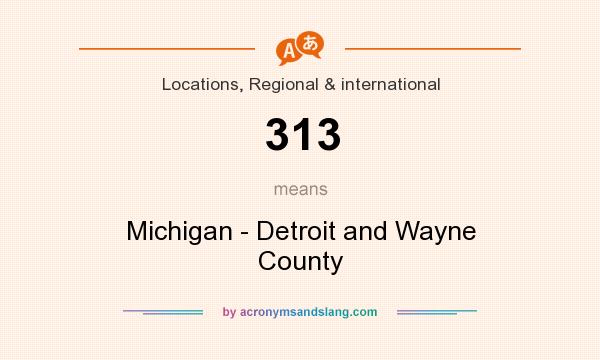 What does 313 mean? It stands for Michigan - Detroit and Wayne County
