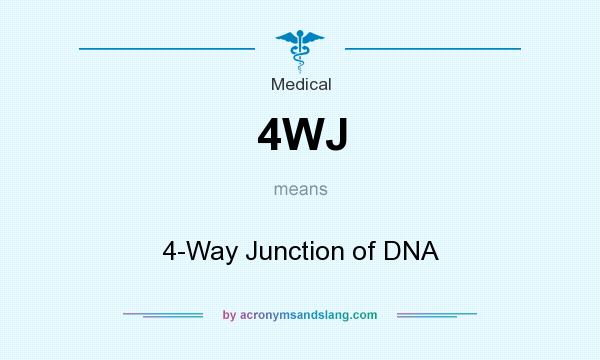 What does 4WJ mean? It stands for 4-Way Junction of DNA