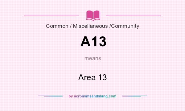 What does A13 mean? It stands for Area 13