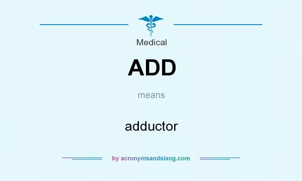 What does ADD mean? It stands for adductor