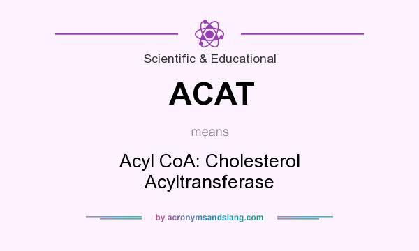 What does ACAT mean? It stands for Acyl CoA: Cholesterol Acyltransferase