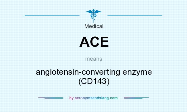 What does ACE mean? It stands for angiotensin-converting enzyme (CD143)