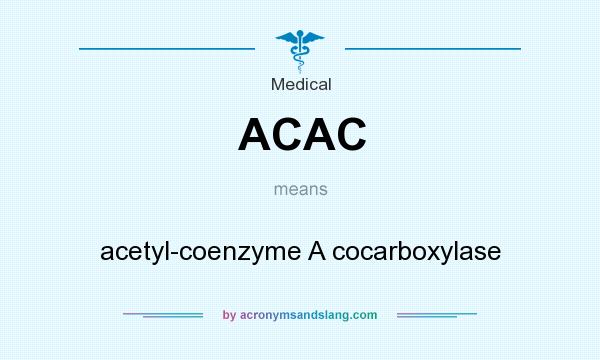 What does ACAC mean? It stands for acetyl-coenzyme A cocarboxylase