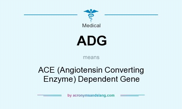 What does ADG mean? It stands for ACE (Angiotensin Converting Enzyme) Dependent Gene