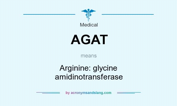 What does AGAT mean? It stands for Arginine: glycine amidinotransferase