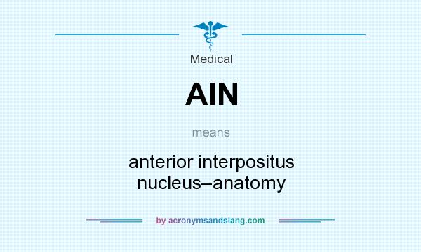What does AIN mean? It stands for anterior interpositus nucleus–anatomy