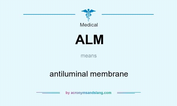 What does ALM mean? It stands for antiluminal membrane