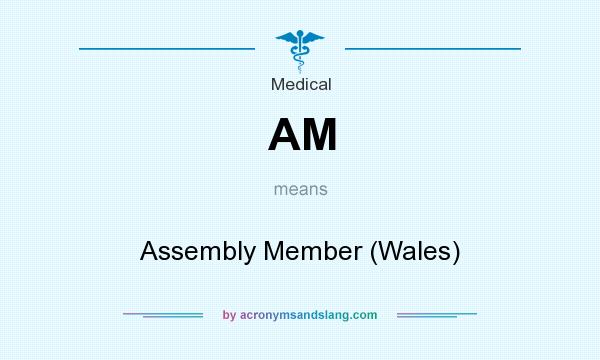 What does AM mean? It stands for Assembly Member (Wales)