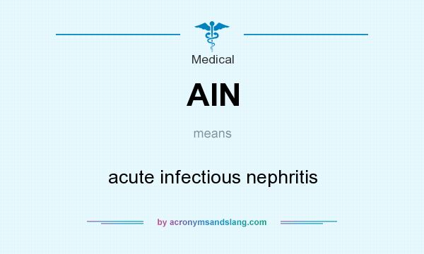 What does AIN mean? It stands for acute infectious nephritis