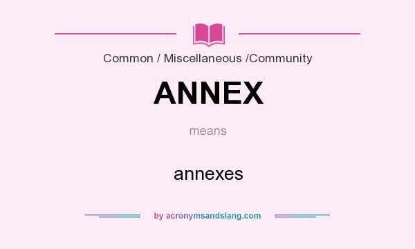 What does ANNEX mean? It stands for annexes