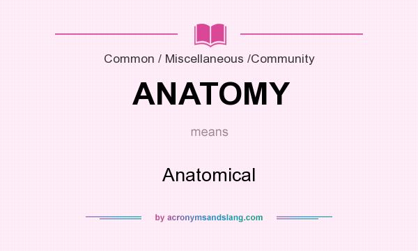 What does ANATOMY mean? It stands for Anatomical