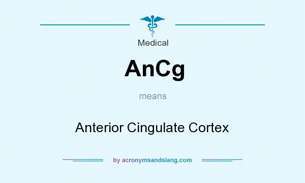 What does AnCg mean? It stands for Anterior Cingulate Cortex