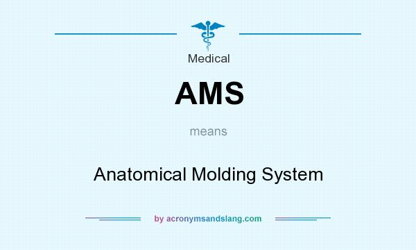 What does AMS mean? It stands for Anatomical Molding System