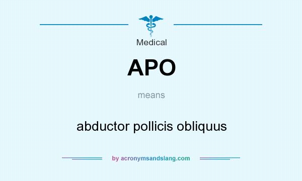 What does APO mean? It stands for abductor pollicis obliquus