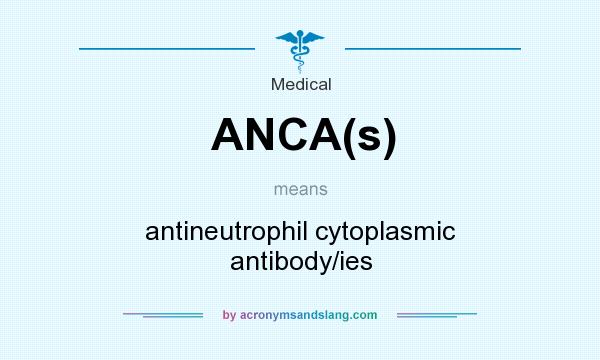 What does ANCA(s) mean? It stands for antineutrophil cytoplasmic antibody/ies