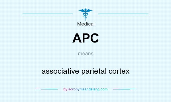 What does APC mean? It stands for associative parietal cortex