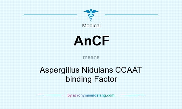 What does AnCF mean? It stands for Aspergillus Nidulans CCAAT binding Factor
