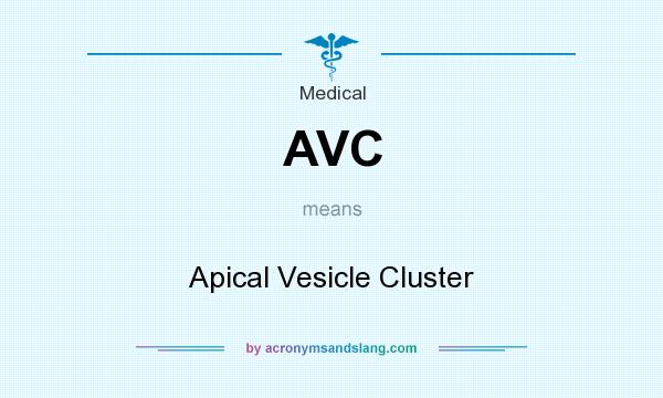 What does AVC mean? It stands for Apical Vesicle Cluster
