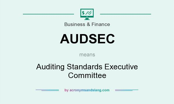 What does AUDSEC mean? It stands for Auditing Standards Executive Committee