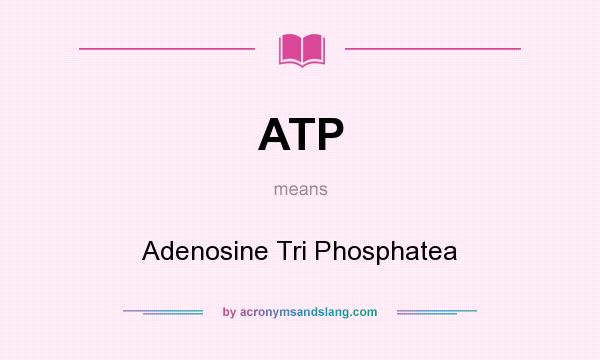 What does ATP mean? It stands for Adenosine Tri Phosphatea