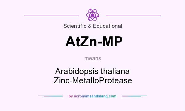What does AtZn-MP mean? It stands for Arabidopsis thaliana Zinc-MetalloProtease