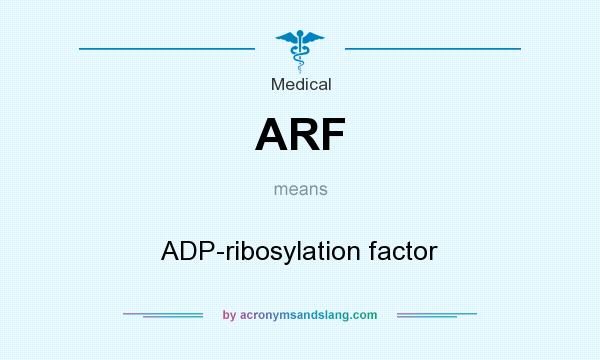What does ARF mean? It stands for ADP-ribosylation factor