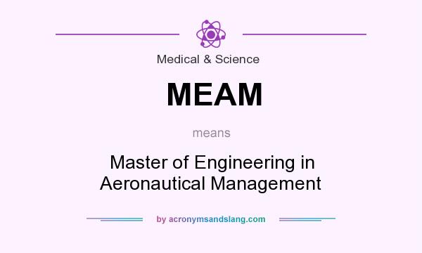 What does MEAM mean? It stands for Master of Engineering in Aeronautical Management