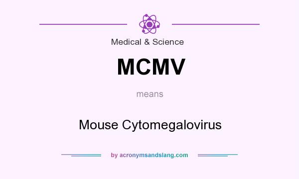What does MCMV mean? It stands for Mouse Cytomegalovirus