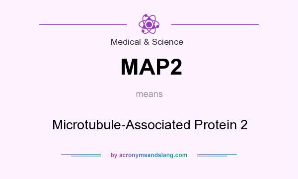 What does MAP2 mean? It stands for Microtubule-Associated Protein 2