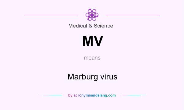What does MV mean? It stands for Marburg virus