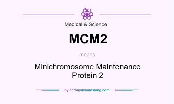 What does MCM2 mean? It stands for Minichromosome Maintenance Protein 2