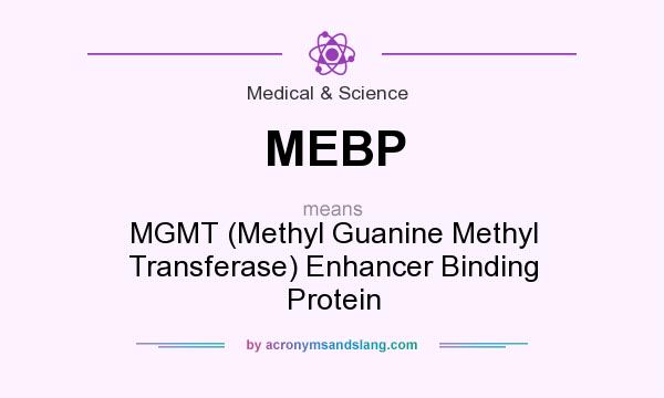 What does MEBP mean? It stands for MGMT (Methyl Guanine Methyl Transferase) Enhancer Binding Protein
