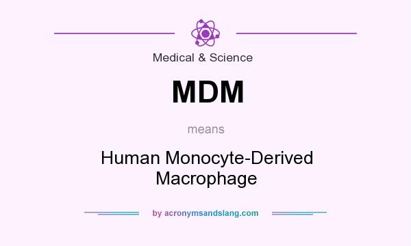What does MDM mean? It stands for Human Monocyte-Derived Macrophage