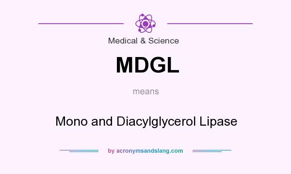What does MDGL mean? It stands for Mono and Diacylglycerol Lipase