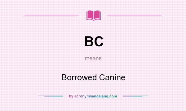 What does BC mean? It stands for Borrowed Canine