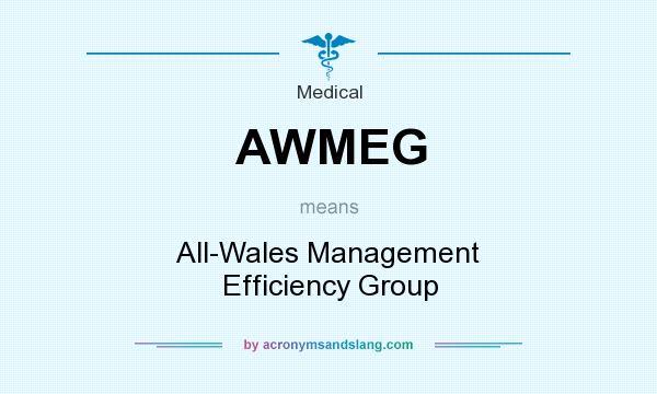 What does AWMEG mean? It stands for All-Wales Management Efficiency Group