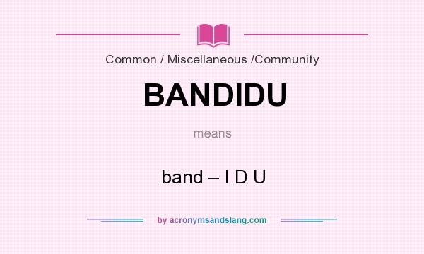 What does BANDIDU mean? It stands for band – I D U
