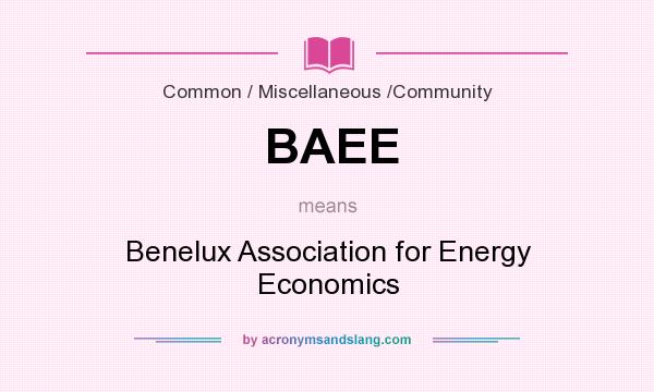 What does BAEE mean? It stands for Benelux Association for Energy Economics