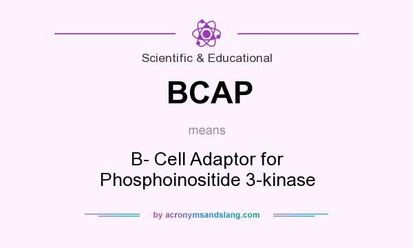 What does BCAP mean? It stands for B- Cell Adaptor for Phosphoinositide 3-kinase
