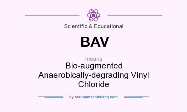 What does BAV mean? It stands for Bio-augmented Anaerobically-degrading Vinyl Chloride