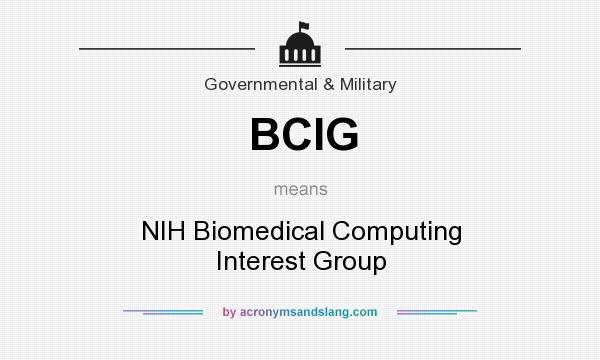 What does BCIG mean? It stands for NIH Biomedical Computing Interest Group