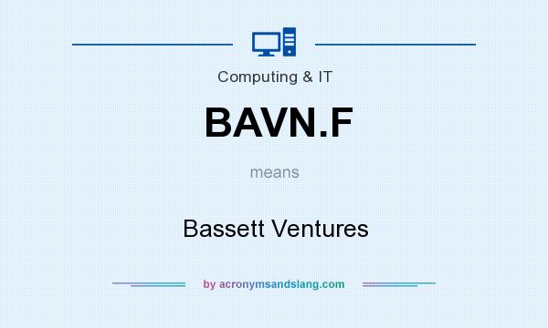What does BAVN.F mean? It stands for Bassett Ventures