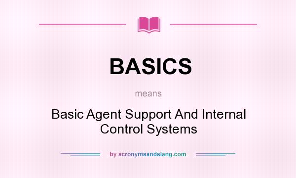 What does BASICS mean? It stands for Basic Agent Support And Internal Control Systems