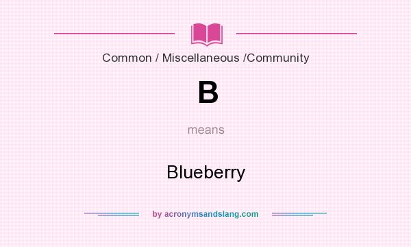 What does B mean? It stands for Blueberry