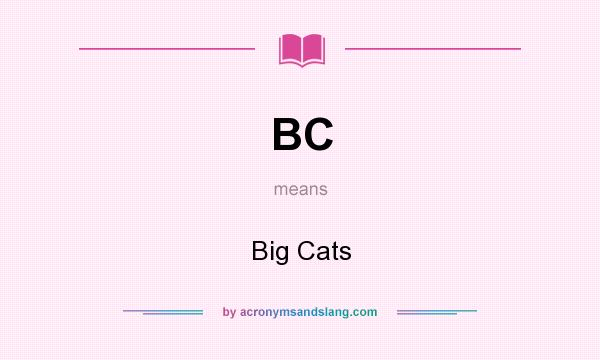 What does BC mean? It stands for Big Cats