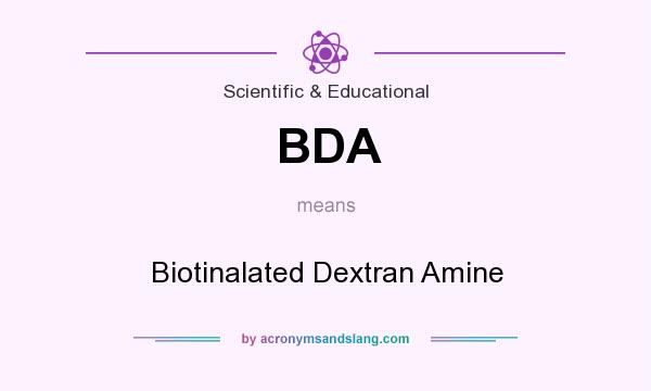 What does BDA mean? It stands for Biotinalated Dextran Amine