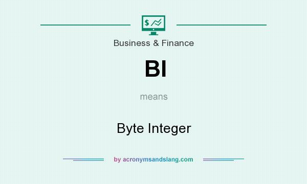 What does BI mean? It stands for Byte Integer